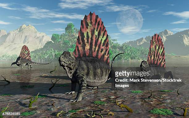 a group of sail-backed carnivorous dimetrodons during earths permian period. - paleozoic era stock-grafiken, -clipart, -cartoons und -symbole
