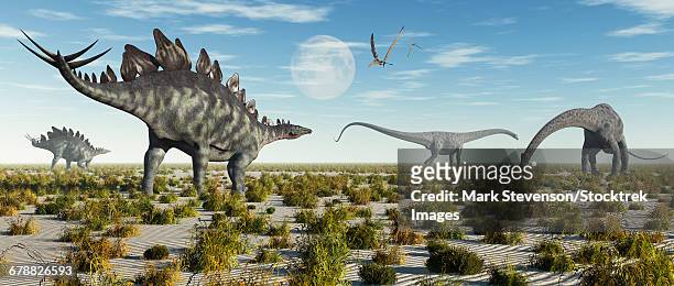 stockillustraties, clipart, cartoons en iconen met a mixed herd of stegosaurus and diplodocus dinosaurs during earths jurassic period. - trias