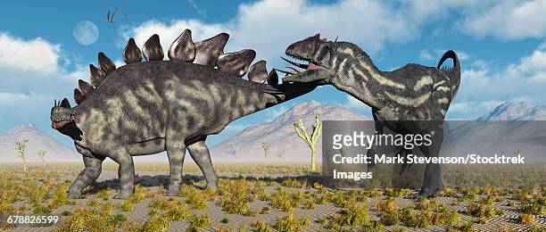 a stegosaurus defending itself from a predatory allosaurus attack during earths jurassic period. - allosaurus stock illustrations