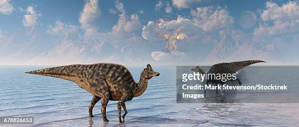 an asteroid hitting the earth, marking the end of velafrons and all dinosaurs. - ornithopod stock illustrations