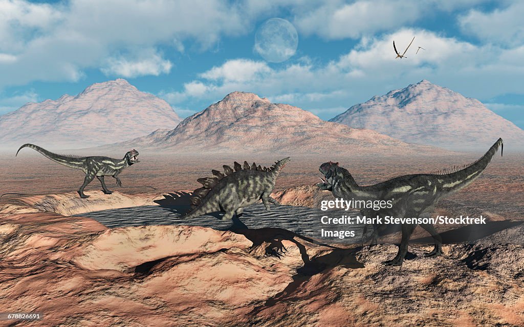 Allosaurus dinosaurs stalk a Stegosaurus trapped in a mud pit.