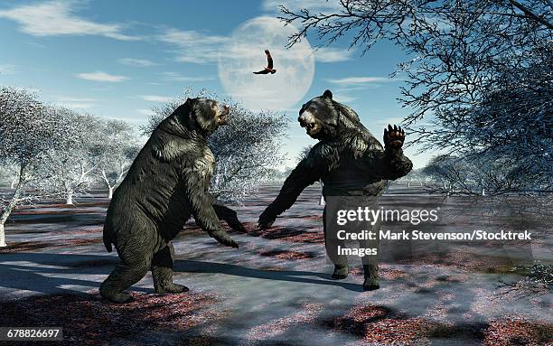 ilustrações de stock, clip art, desenhos animados e ícones de a pair of arctodus bears in a territorial dispute. - angry bear