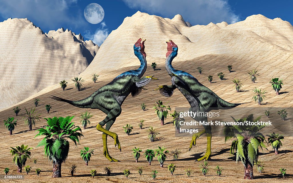 A pair of Caudipteryx feathered dinosaurs involved in a mating ritual.