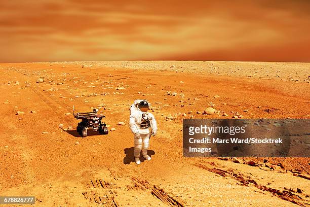 a lone astronaut looks up at the sun while exploring mars. a rover trails behind.  - astrobiology stock illustrations