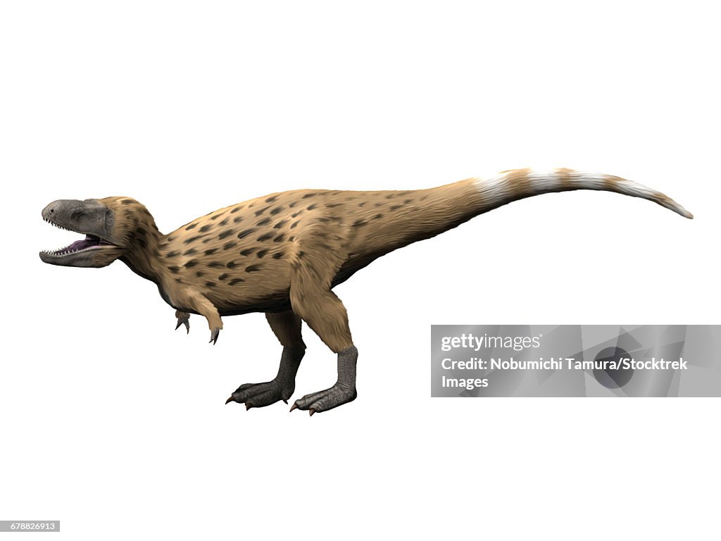 Tarbosaurus is a theropod dinosaur from the Late Cretaceous period.