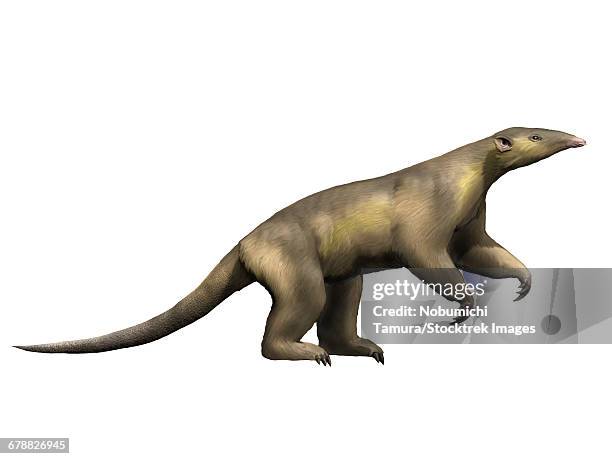 eurotamandua is an extinct mammal from the eocene epoch of germany. - eocene stock illustrations