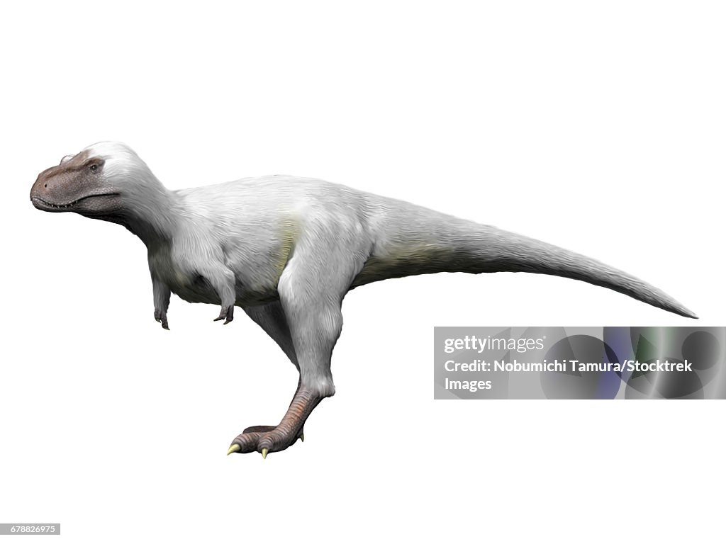 Nanuqsaurus is a theropod from the Late Cretaceous period of Alaska.