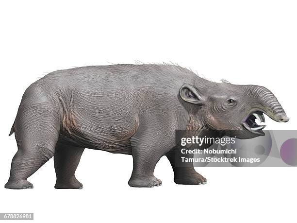 13 Oligocene Epoch Photos and Premium High Res Pictures - Getty Images 13 Oligocene Epoch Photos and Premium High Res Pictures - Getty Images