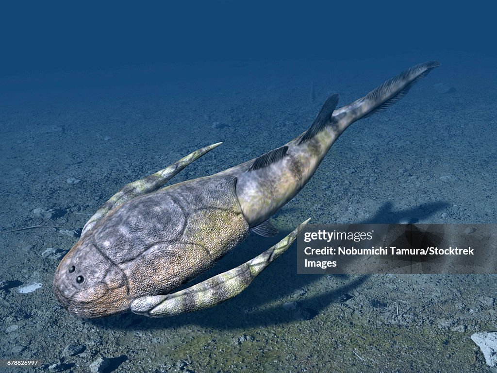 Bothriolepis canadensis is an extinct placoderm from the Late Devonian of Canada.