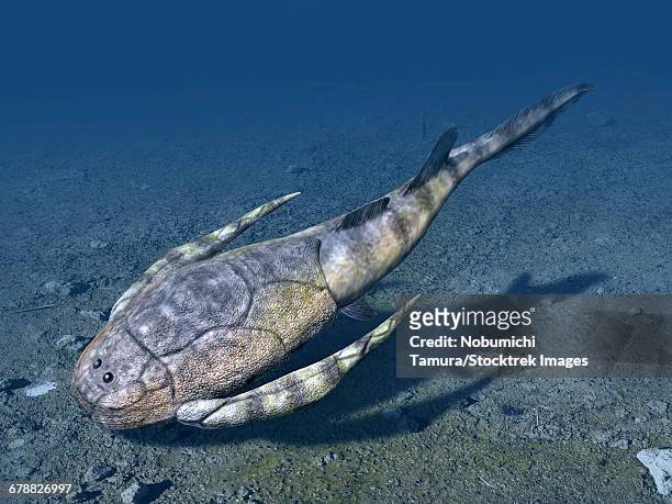 bothriolepis canadensis is an extinct placoderm from the late devonian of canada. - extinct stock illustrations