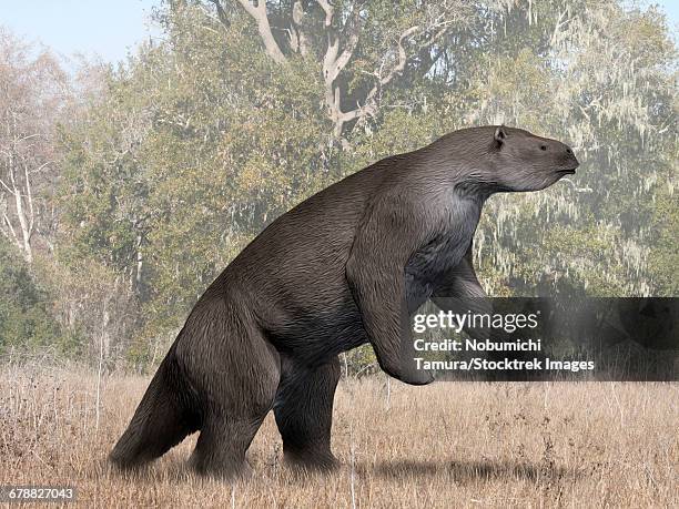 ilustrações, clipart, desenhos animados e ícones de megatherium americanum from the pleistocene epoch of south america. - preguiça gigante