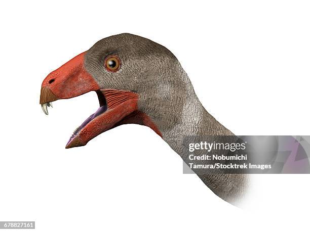 Inosaurus 194 Early Cretaceous Stock Photos, High-Res Pictures, and Images ...