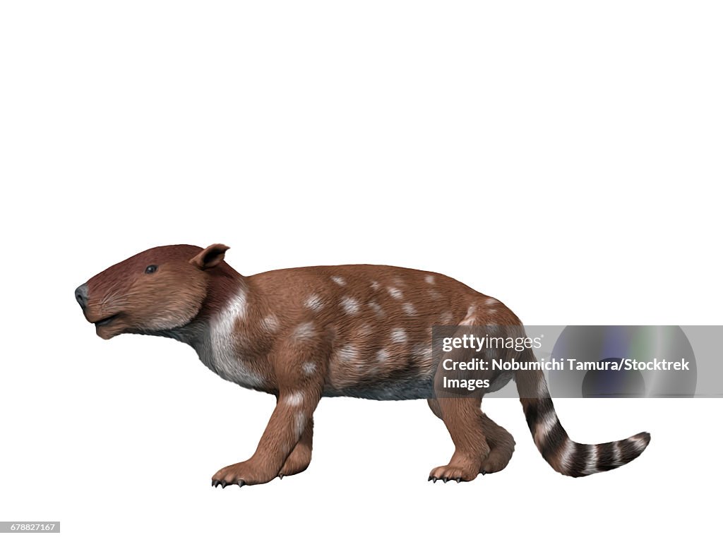 Pantolambda bathmodon is a pantodont from the Paleocene epoch of New Mexico.