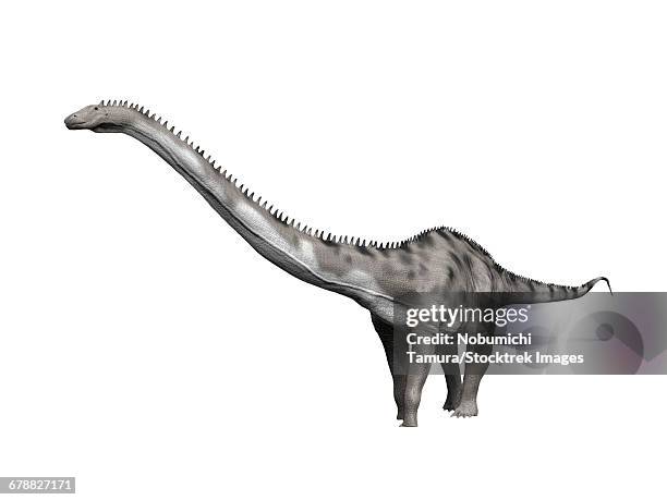 stockillustraties, clipart, cartoons en iconen met diplodocus hallorum is a sauropod from the late jurassic period. - diplodocus
