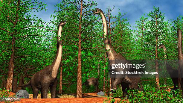 group of brachiosaurus dinosaurs grazing on tree tops. - triassic landscape stock illustrations