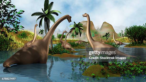 group of brachiosaurus dinosaurs grazing in a prehistoric environment. - triassic landscape stock illustrations
