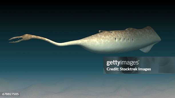 tullimonstrum gregarium, known as the tully monster. - carboniferous stock illustrations