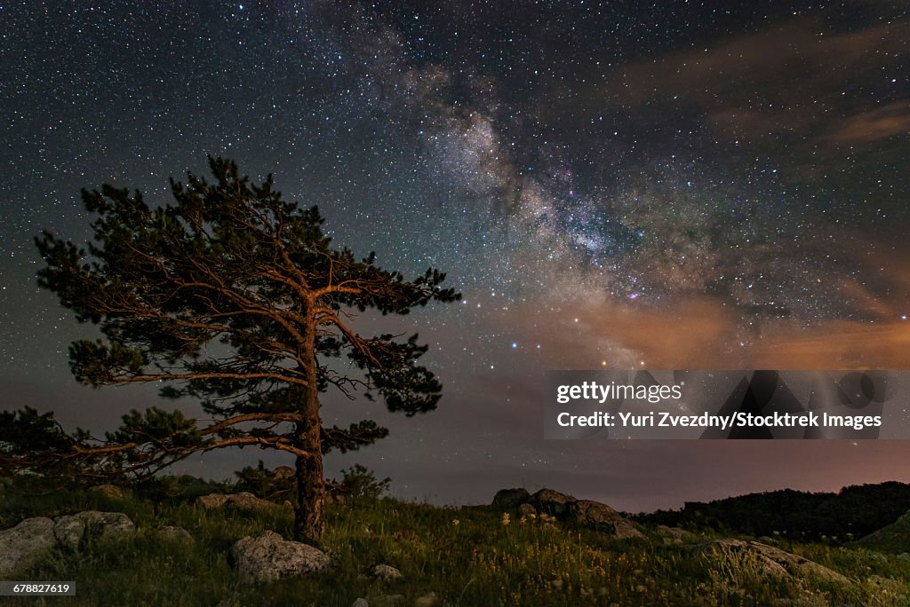 A lone tree on top of a mountain under the stars and Milky Way, Crimea.