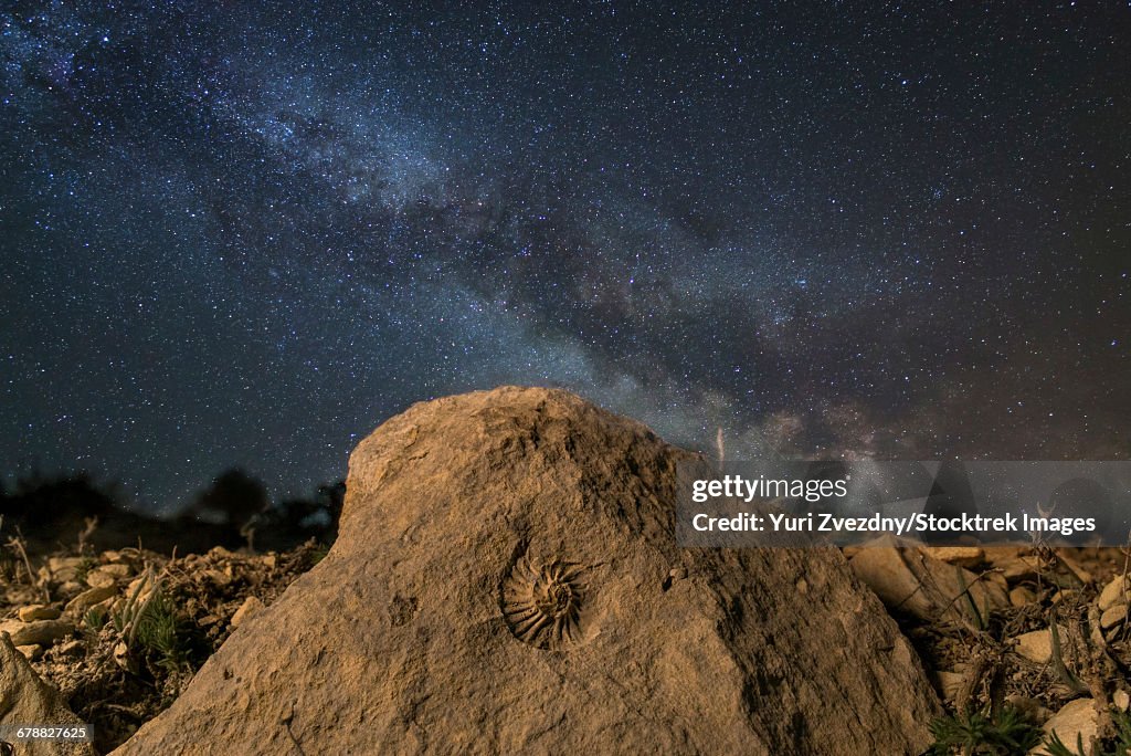 Fossilized ammonite and the Milky Way on a mountain top in Russia.