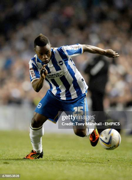 Kazenga LuaLua, Brighton and Hove Albion