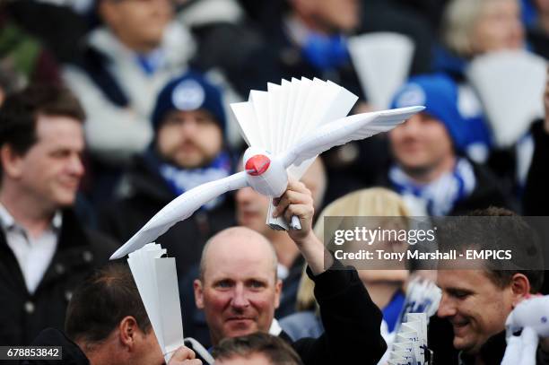 Brighton fans in the stands