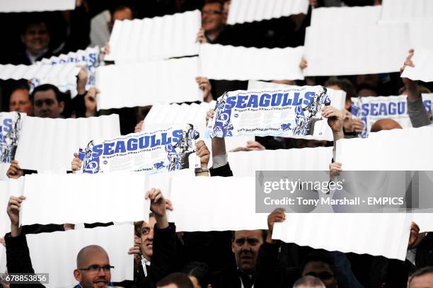 Brighton fans in the stands