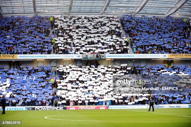 Brighton fans in the stands