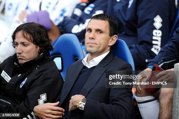 Gus Poyet, Brighton manager