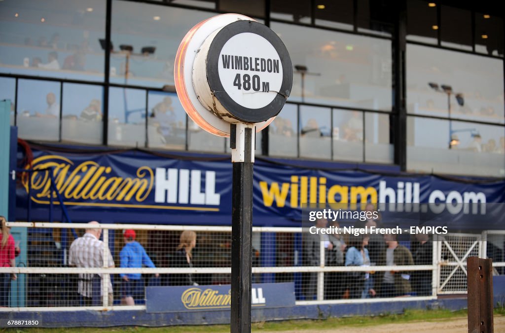 Greyhound Racing - William Hill Derby - Day One - Wimbledon Stadium