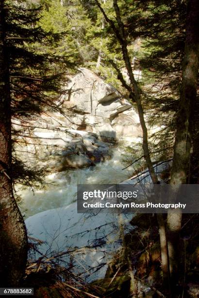 white mountain national forest. - carolyn ross stock pictures, royalty-free photos & images