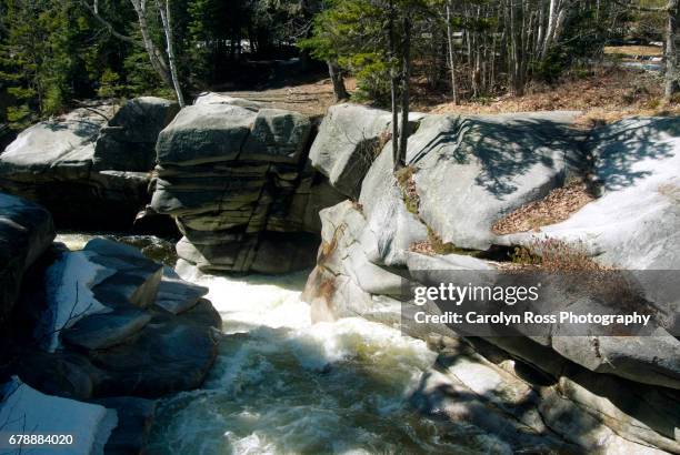 white mountain national forest. - carolyn ross stock pictures, royalty-free photos & images