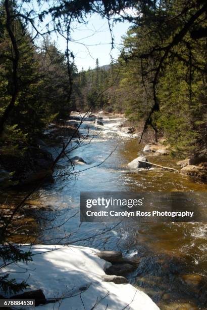 white mountain national forest. - carolyn ross stock pictures, royalty-free photos & images