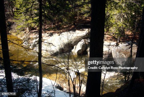 white mountain national forest. - carolyn ross stock pictures, royalty-free photos & images