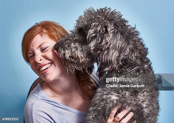 red headed british female with her dog - dog licking stock pictures, royalty-free photos & images