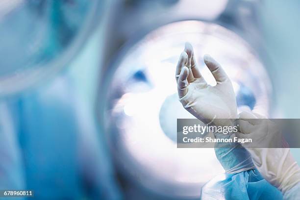 surgeon adjusting glove in operating room - blue glove foto e immagini stock