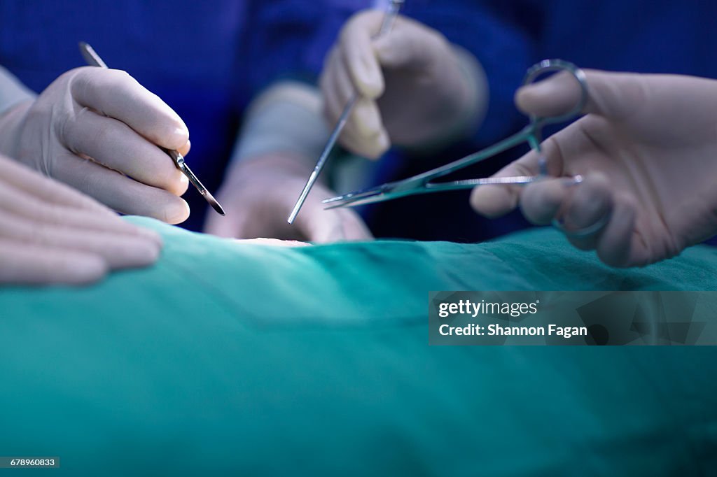 Hands of operating room staff performing surgery