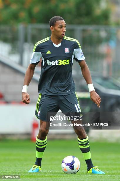 Steven N'Zonzi, Stoke City