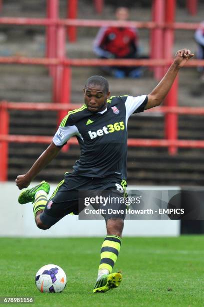 Wilson Palacios, Stoke City