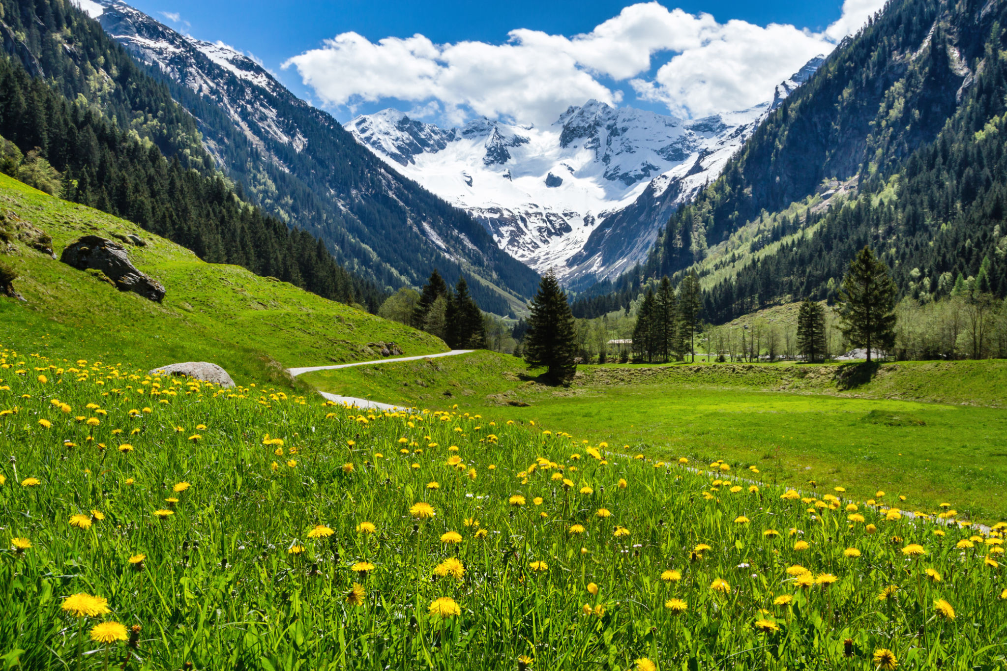 austrian alps
