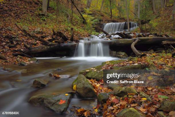 lower tews waterfall, hamilton - niagara escarpment stock pictures, royalty-free photos & images