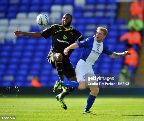 Birmingham City's Chris Burke and Sheffield Wednesday's Reda Johnson challenge for ball