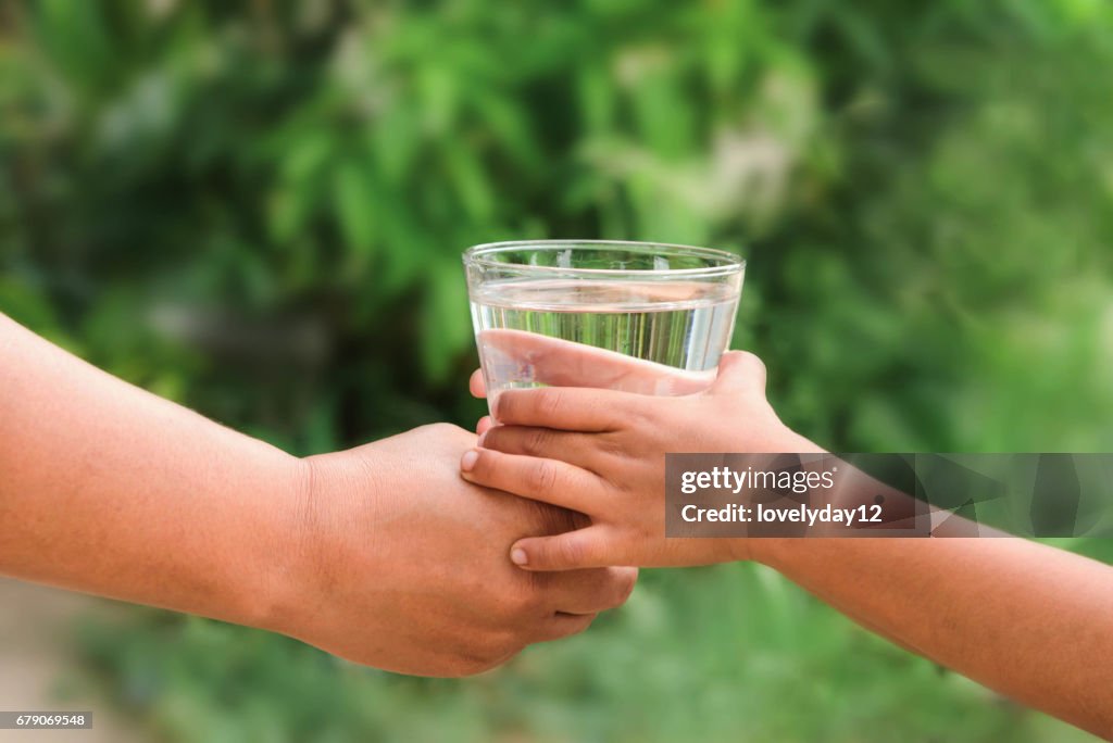 Woman hands to drink water with children hands green leaf background