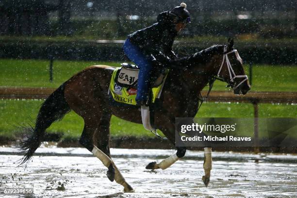 Patch runs on the track during morning training prior to the 143rd Kentucky Derby at Churchill Downs on May 5, 2017 in Louisville, Kentucky.