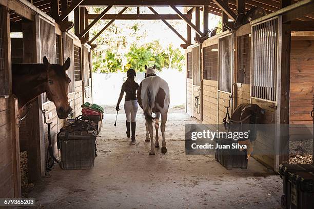 teenage girl walking out horse from a stable - riding helmet stock pictures, royalty-free photos & images