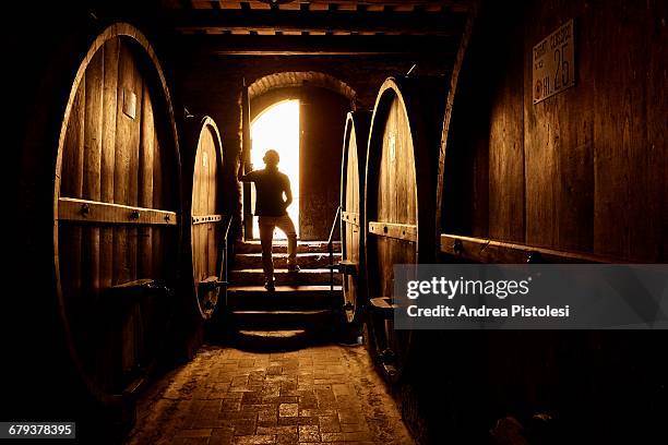 cellar in chianti wine country, tuscany - wine cask stock pictures, royalty-free photos & images