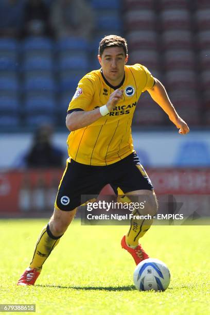 Stephen Ward, Brighton and Hove Albion