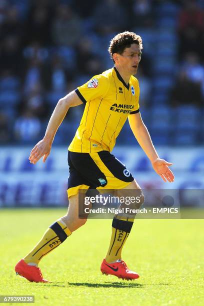 Keith Andrews, Brighton and Hove Albion