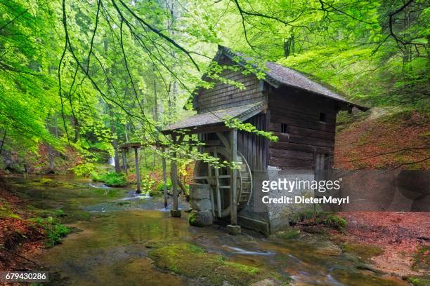 old mill in scheffau - european alps at springtime - watermill stock pictures, royalty-free photos & images
