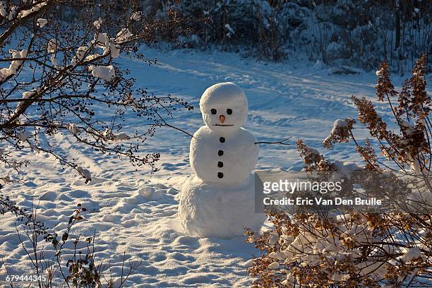 snowman surrounded by tree branches - eric van den brulle ストックフォトと画像