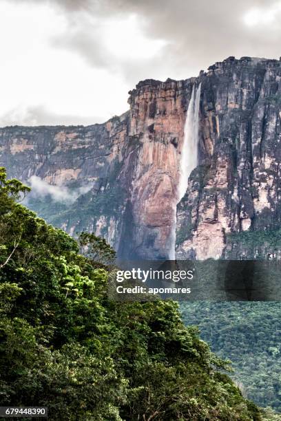 angel falls. highest waterfall in the world. auyantepuy venezuela - angel falls stock pictures, royalty-free photos & images